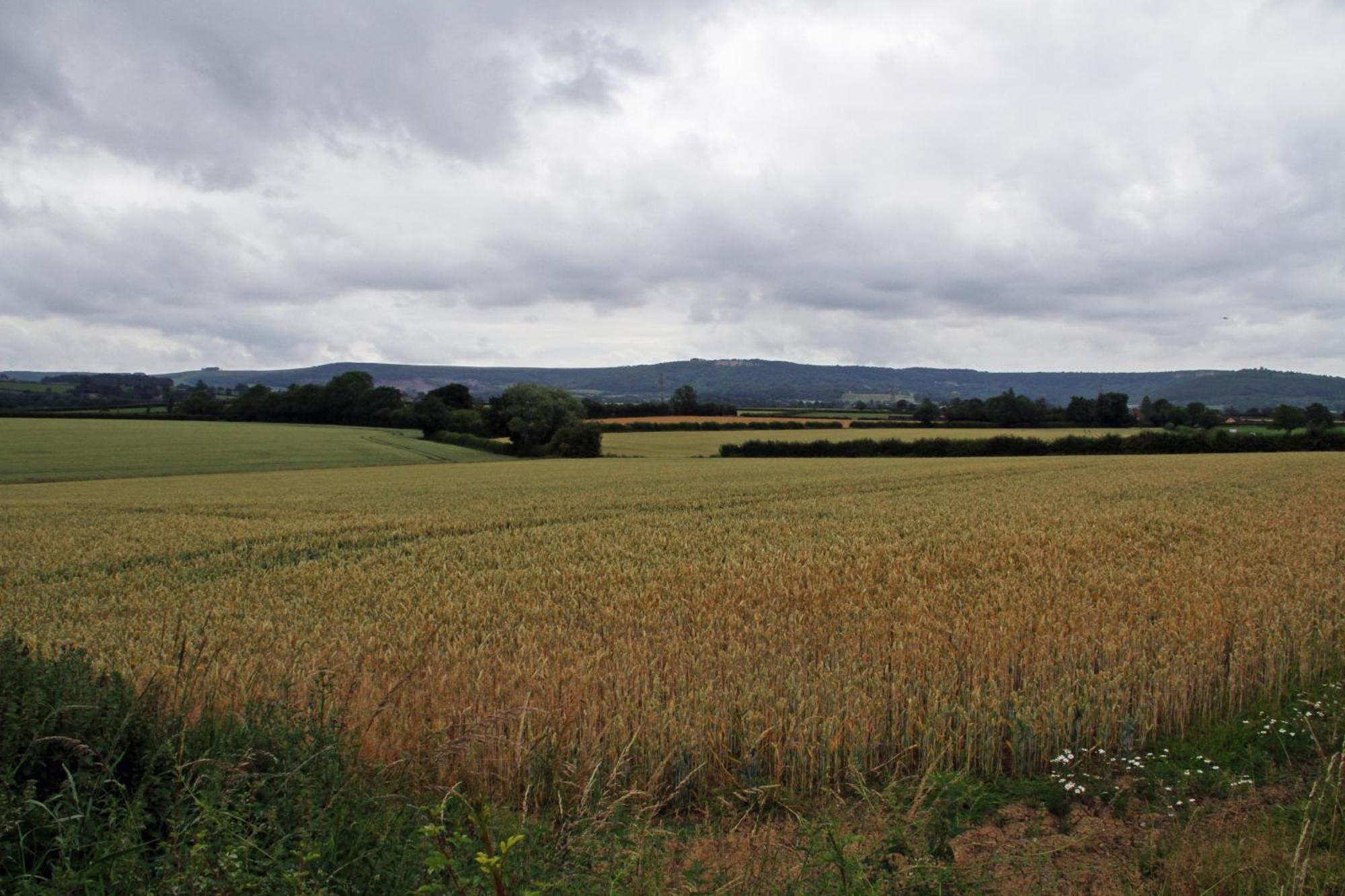 Oyo White Horse Lodge Hotel, East Thirsk Bagby エクステリア 写真